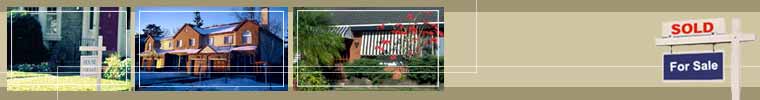 Header Graphic